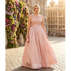 MAUVE