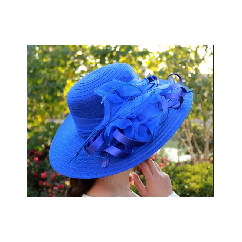 Chapeau : bleu roi