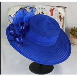 Chapeau : bleu roi